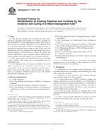 ASTM F1216-03