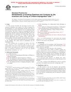 ASTM F1216-07
