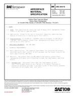 SAE AMS3894/1B SAE AMS3894/1B