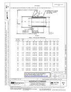 SAE AS1720B SAE AS1720B