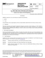 SAE AMS5841F SAE AMS5841F