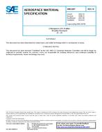 SAE AMS3207N SAE AMS3207N