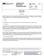 SAE AMS3305J SAE AMS3305J