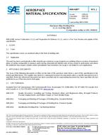 SAE AMS4189J SAE AMS4189J