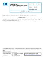 SAE AMS3796/1B