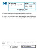 SAE AMS3856/2B SAE AMS3856/2B