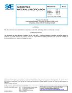 SAE AMS3787/8C SAE AMS3787/8C