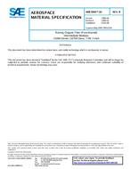 SAE AMS3904/10B SAE AMS3904/10B