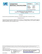 SAE AMS3906/4C SAE AMS3906/4C