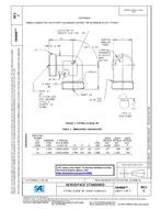 SAE AS4668C