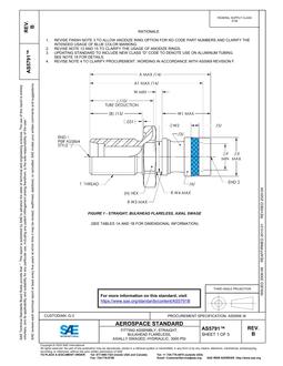 SAE AS5791B SAE AS5791B